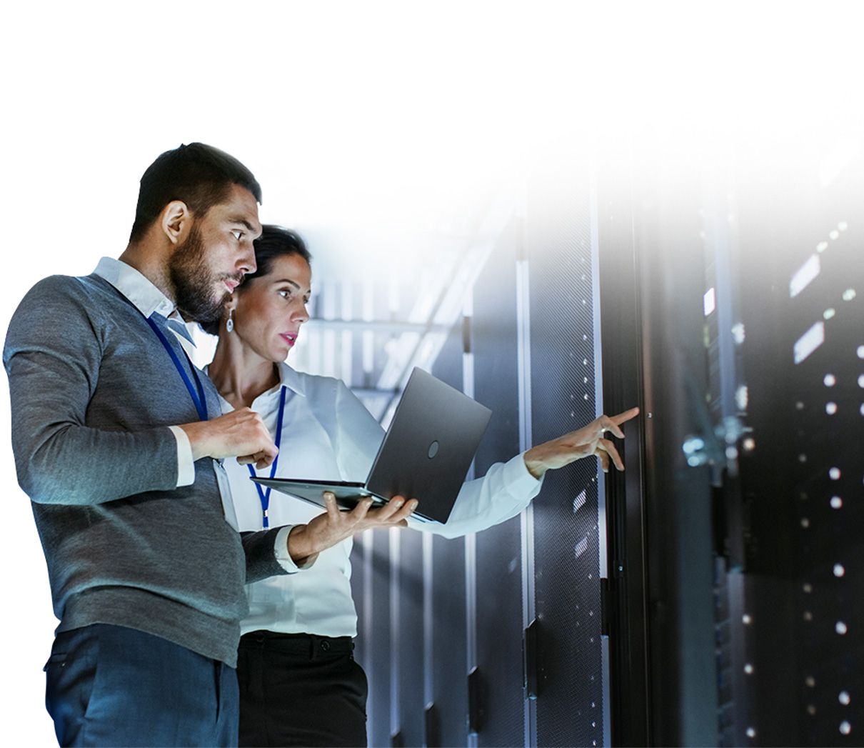 Network administrators.